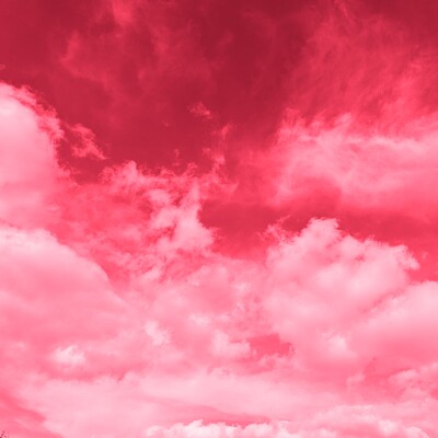 pink cloud album cover